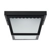 Nuvo Lighting 12W 9" LED Carport Flush 3K Dim, Black Finish with Frosted Glass 62/1572